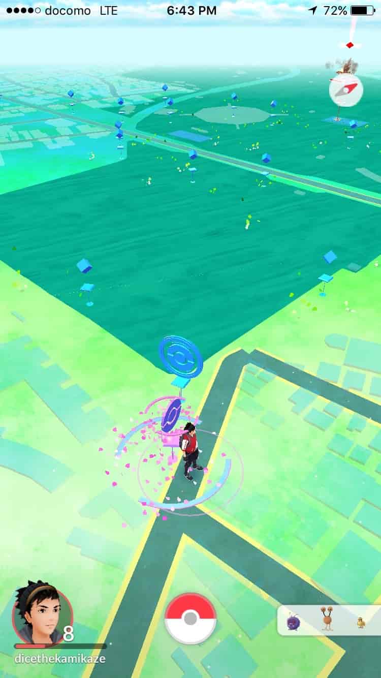 Pokemon nests Setagaya